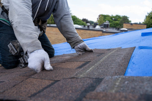 Best Metal Roofing Contractor  in Mount Olive, AL