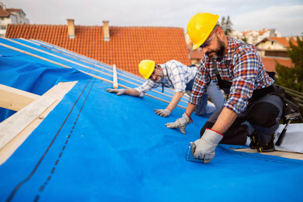 Best New Roof Installation  in Mount Olive, AL