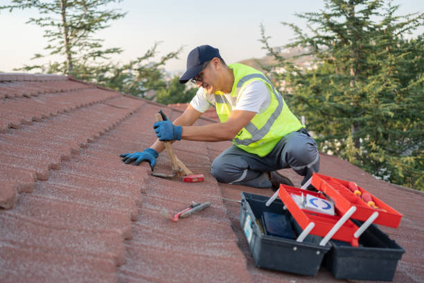 Best Storm Damage Roof Repair  in Mount Olive, AL