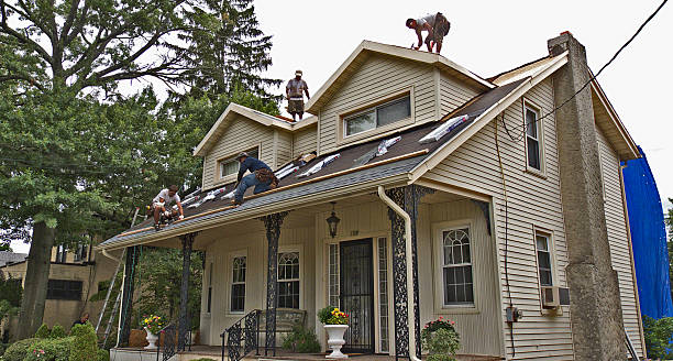 Best Roof Gutter Cleaning  in Mount Olive, AL