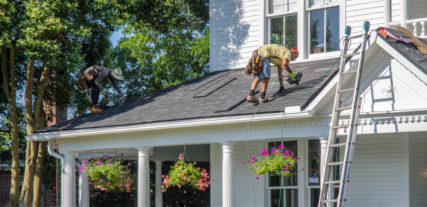 Professional Roofing Contractor in Mount Olive, AL